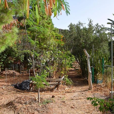 La Casa De Los Pinos Temisas エクステリア 写真