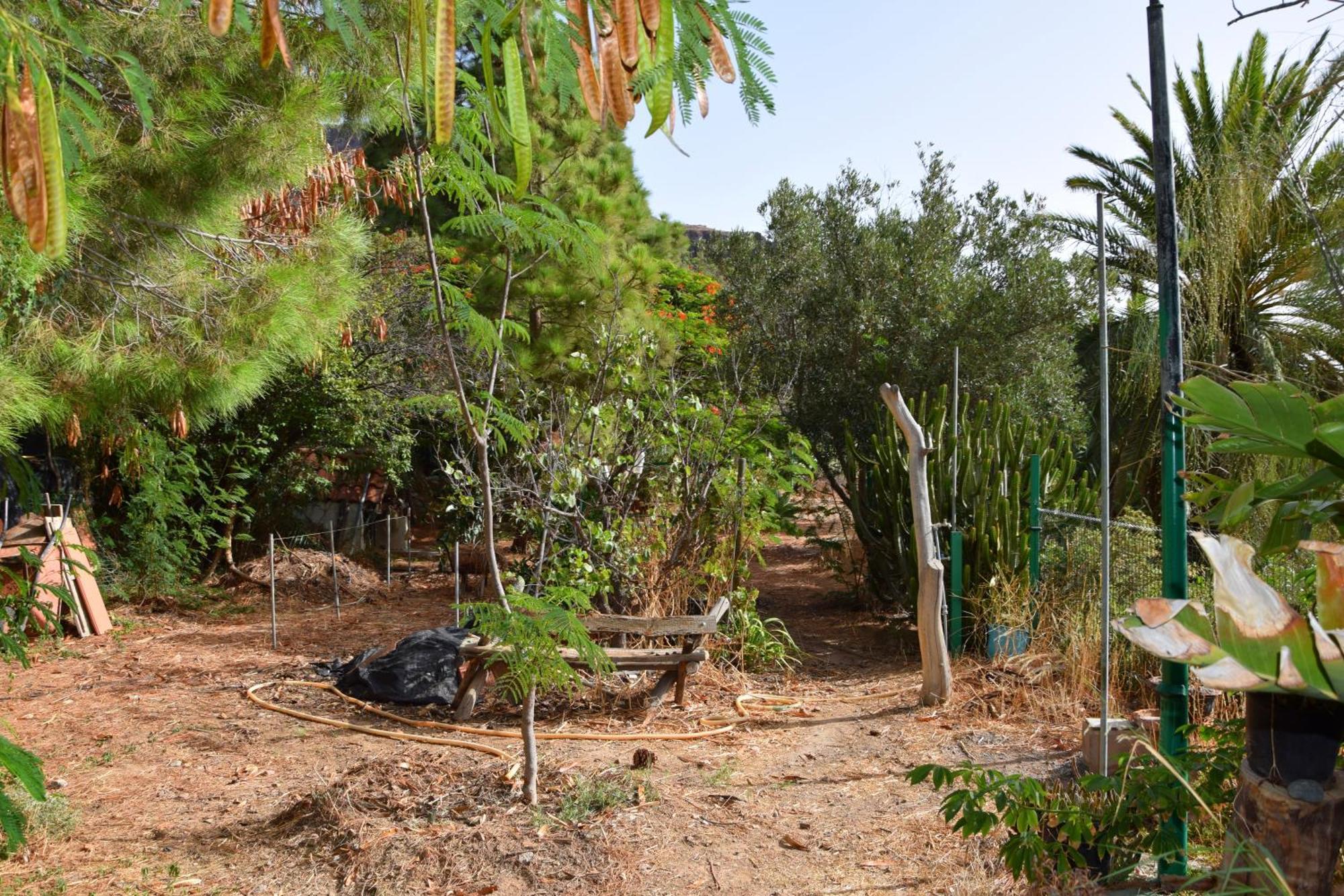 La Casa De Los Pinos Temisas エクステリア 写真