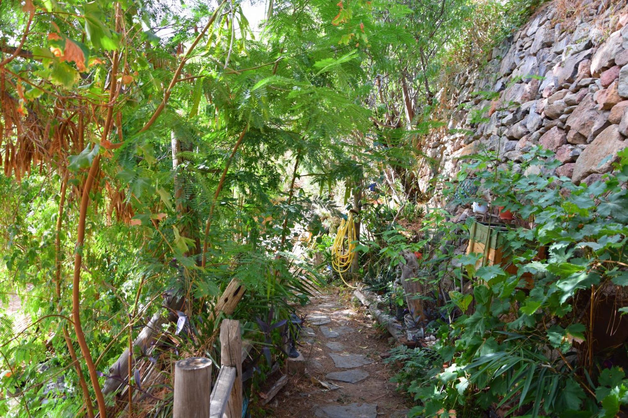 La Casa De Los Pinos Temisas エクステリア 写真